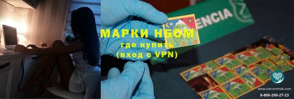 прущие грибы Вяземский